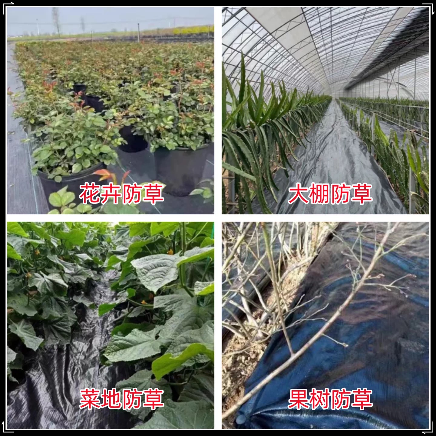 上饶市果树反光膜防草布 - 推荐
