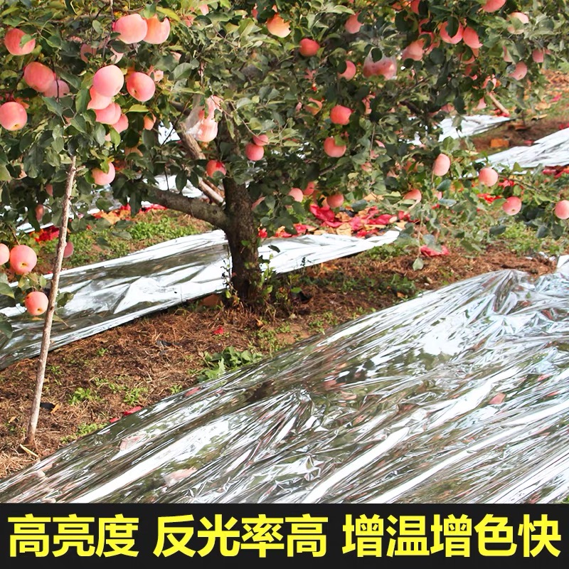上饶市大棚膜果树反光膜 - 推荐